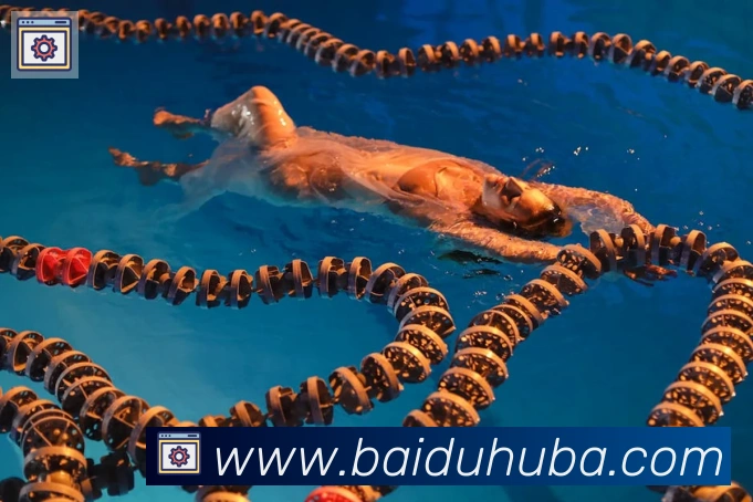 百度体育服务体系